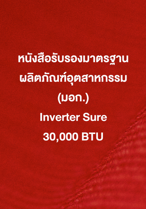 Inverter Sure 30,000 ฺBTU